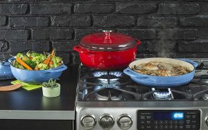 Read more about the article Lodge 6 Quart Enameled Cast Iron Dutch Oven Island Spice Red