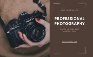 Read more about the article Find the Best camera for professional photography