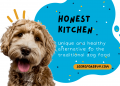Honest Kitchen Dog Food Reviews