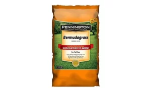 Pennington Seed 1 lb Bermuda Grass Seed