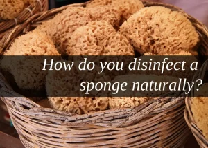 Read more about the article How do you disinfect a sponge naturally?